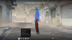 GAMMA DOPPLER GUT KNİFE TEMİZ FLOAT GAMMA DOPPLER GUT KNİFE TEMİZ FLOAT