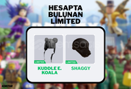 (⭐GARANTİ⭐) Roblox Limited Hesap 3