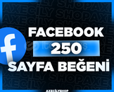 ⭐️[GARANTİLİ]⭐️ 250 Sayfa Beğeni | Facebook