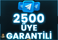 ⭐️ [DÜŞÜŞSÜZ!] 2500 TELEGRAM ÜYE ⭐