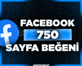 ⭐️[GARANTİLİ]⭐️ 750 Sayfa Beğeni | Facebook