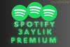 [Garantili] Spotify 3 Aylık Premium 