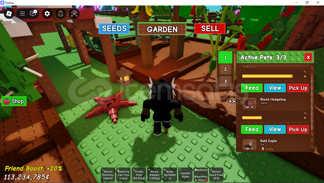 *GARDEN PET* blood hedgehog  *GARDEN PET* blood hedgehog
