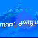 Garrys Mod & Garanti & Destek