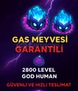 Gas garantili hesap 2800 level Gas garantili hesap 2800 level