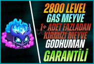 Gas Meyve+ 1+ Kırmızı Meyve+GDH+2800 LVL