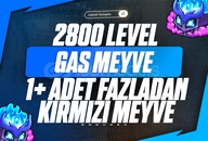 Gas Meyve+ 1+ Kırmızı Meyve+GDH+2800 LVL