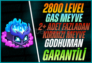 Gas Meyve+ 2+ Kırmızı Meyve+GDH+2800 LVL