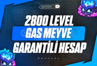 Gas Meyve + GODHUMAN + 2800 Level