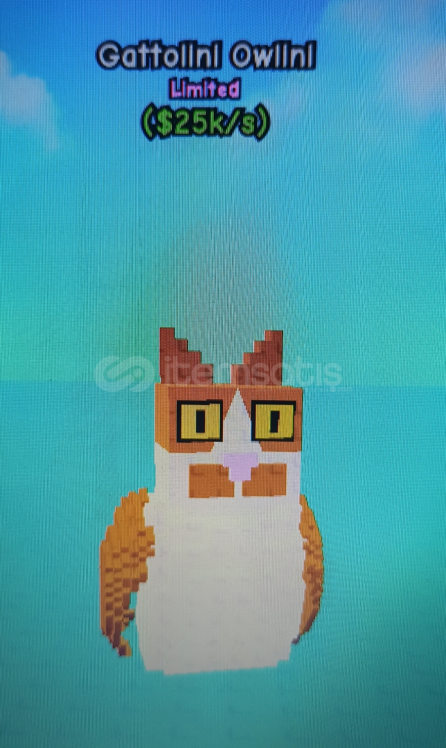 Gattoloni owlini (oyundaki en nadir brainrots) Gattoloni owlini (oyundaki en nadir brainrots)