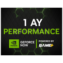 Geforce Now Performance 1 Aylık Epin