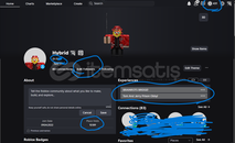 ???? GELİŞMİŞ ROBLOX HESABI – PREMIUM • UGC ???? 