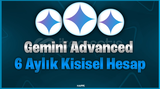 Gemini advanced 6 aylık hesap ortak