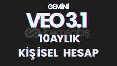 GEMİNİ PRO 10 AYLIK