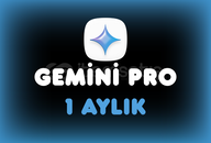 Gemini Pro Veo3- 1 Aylık