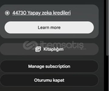 Gemini ULTRA 15 GÜNLÜK 45K KREDİ