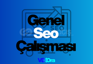 Genel Seo Çalışması