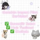 Genshin Impact Plot Hizmetleri!!