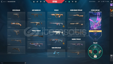 GEREKLİ SKİNLERİ ALINMIŞ MAİN HESAP