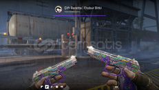 Çift Beretta | Etobur Bitki GÖREVDE KULLANILMIŞ 