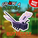 GİANTBEAN MUTASYONLU BUTTERFLY (EN UCUZ)