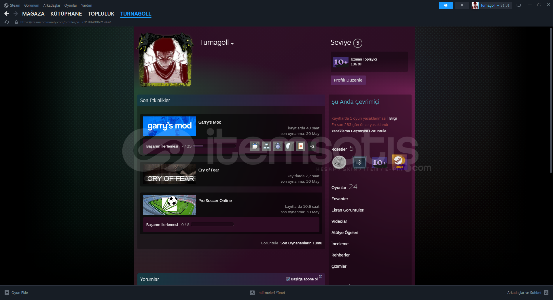 Gideri Var Steam Hesabı Uygun Fiyat Gideri Var Steam Hesabı Uygun Fiyat