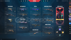 GIRTLAK DOLUSU EMEKTAR HESAP