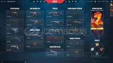 GIRTLAK DOLUSU MAİLLİ HESAP ŞOK KAMPANYAA