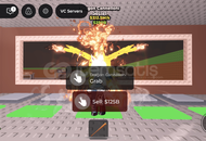 Gold dragon cannelloni 312.5M sab