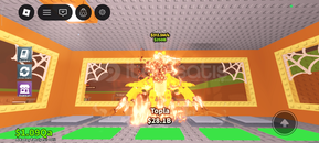 Gold Dragon Cannelloni Gold Dragon Cannelloni