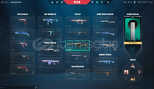 GOLD ELO-BOL SKİNLİ+ LOL HESABI