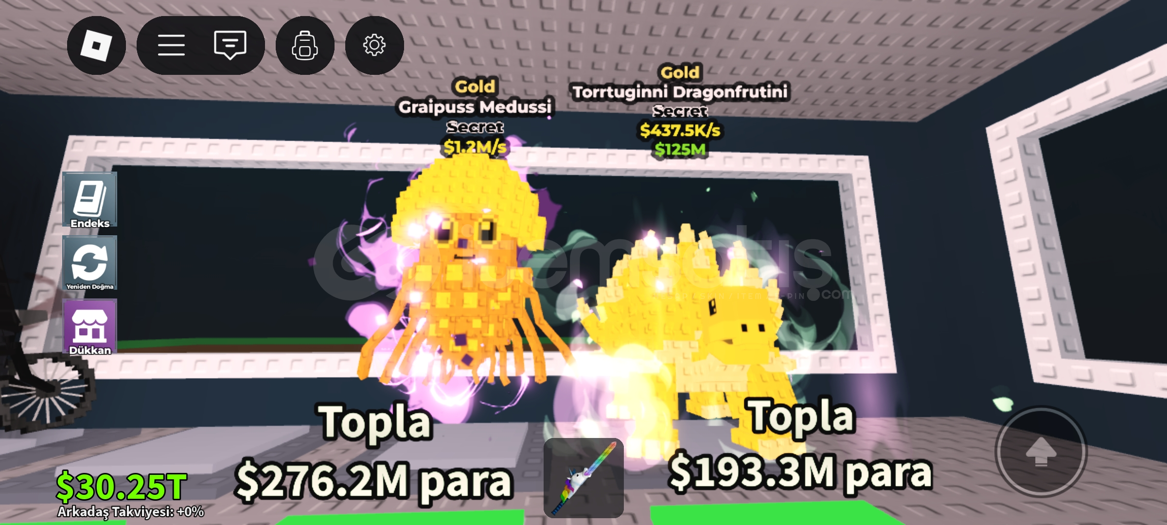 Gold graipus and tortugini