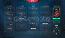 Gold Hesap. Satın alınmış 29 farklı desen.