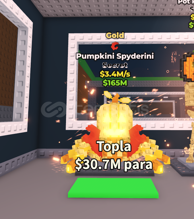 Gold Pumpkini Spyderini 3.4M/s Gold Pumpkini Spyderini 3.4M/s