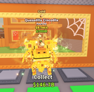 (GOLD) Quesadilla Crocodila 9.7M