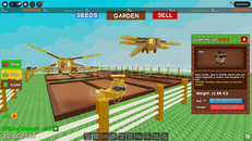 Gold raccon ve değerli petler paketi (Gag)