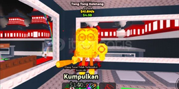 gold tang tang keletang 42m