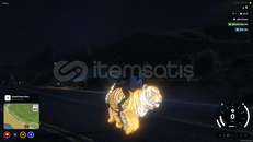 Gold Tiger - SINIRLI SAYIDA!