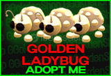 Golden Ladybug