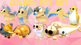 Golden Pet Set (10 adet pet)