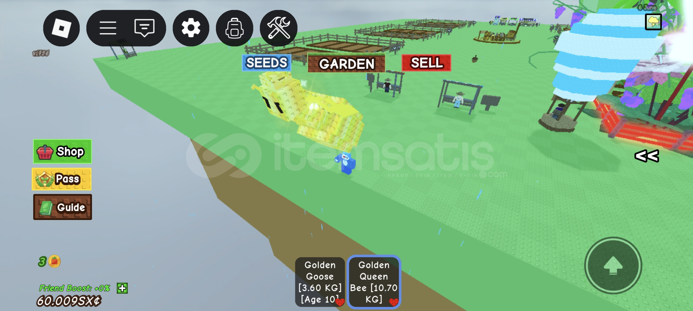 GOLDEN QUEN BEE GROW A GARDEN HIZLI TESLİM  GOLDEN QUEN BEE GROW A GARDEN HIZLI TESLİM
