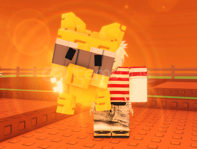 GOLDEN RACOON GOLDEN RACOON