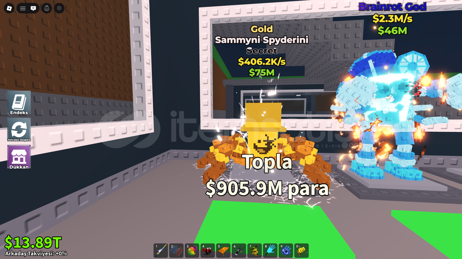 Golden spyder Sammy  Golden spyder Sammy