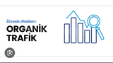 Google Organik Trafik