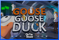 Goose Goose Duck Hesap