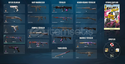 görseldeki hesap 30 tl olup gmail bulunmamakta