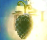 GPO - Buddha Fruit