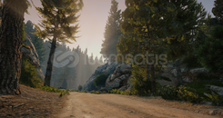 ⭐Grafik Paketi Fivem 