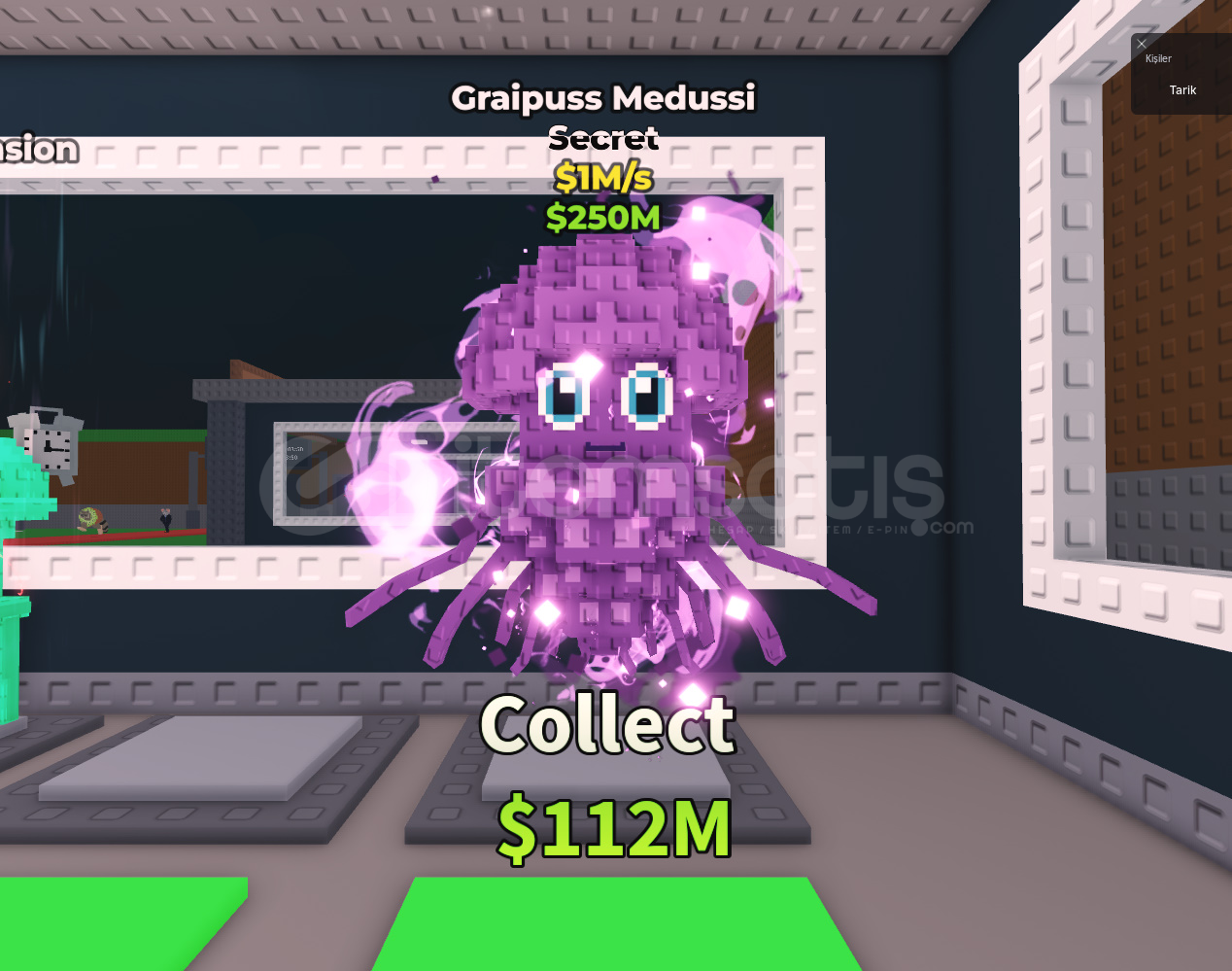 Graipuss Medussi Graipuss Medussi