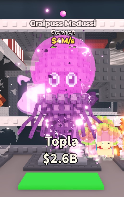 ⭐Graipuss Medussi  ⭐Graipuss Medussi